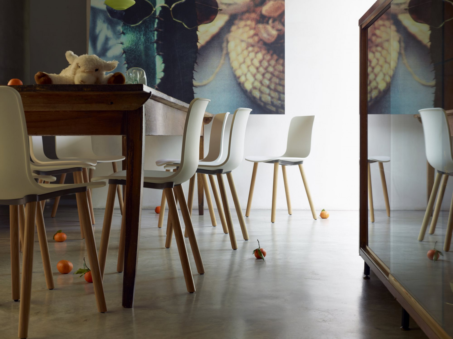 创意家具 - 坐具|餐椅|办公家具|设计师家具|哈尔餐椅